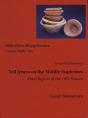 Tell Qraya On The Middle Euphrates - Preview