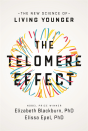 Telomere Effect - Preview