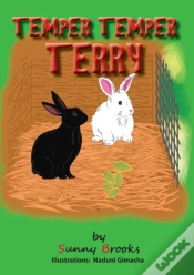 Capa do artigo Temper Temper Terry