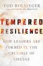 Tempered Resilience - Preview