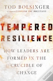 Capa do artigo Tempered Resilience