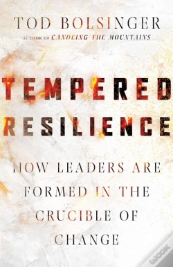 Capa do artigo Tempered Resilience
