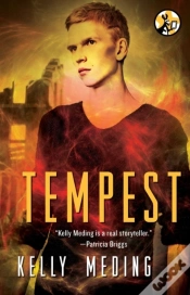 Capa do artigo Tempest