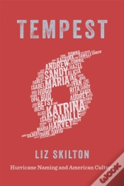Capa do artigo Tempest