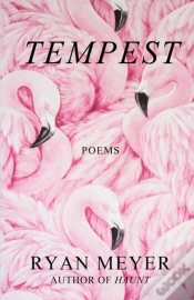 Capa do artigo Tempest