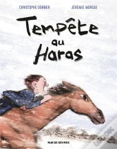 Tempête Au Haras
