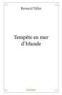 Tempête En Mer D'Irlande - Preview