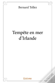 Capa do artigo Tempête En Mer D