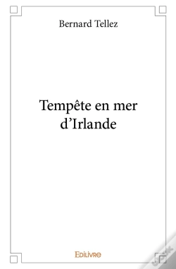 Capa do artigo Tempête En Mer D'Irlande