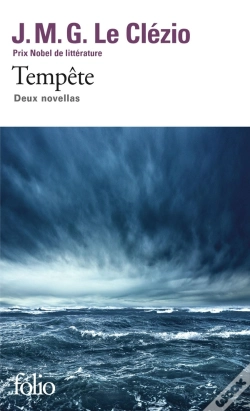 Capa do artigo Tempête