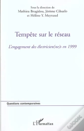 Tempête Sur Le Réseau : L'Engagement Des Électricien(Ne)S En 1999