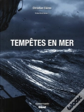 Tempêtes En Mer