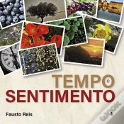 Capa do artigo Tempo e Sentimento