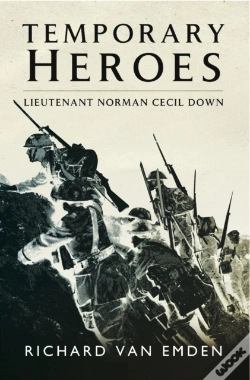 Capa do artigo Temporary Heroes