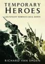Temporary Heroes - Preview