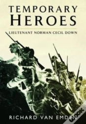 Capa do artigo Temporary Heroes