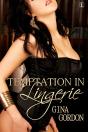 Temptation In Lingerie - Preview