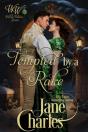 Tempted By A Rake - Preview