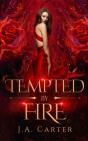 Tempted By Fire - Preview