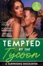 Tempted By The Tycoon: A Surprising Encounter - Preview