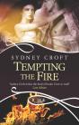 Tempting The Fire: A Rouge Paranormal Romance - Preview