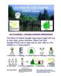 Ten Steps For Clear Eyesight Without Glasses - Preview
