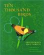 Ten Thousand Birds - Preview