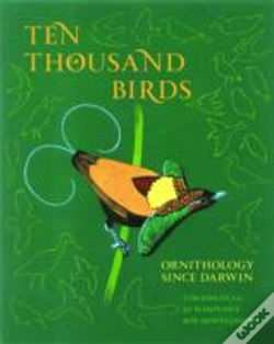 Capa do artigo Ten Thousand Birds