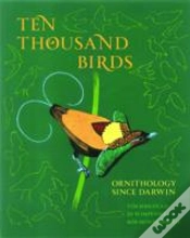 Capa do artigo Ten Thousand Birds