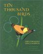 Ten Thousand Birds - Preview