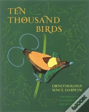 Capa do artigo Ten Thousand Birds