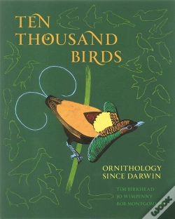 Capa do artigo Ten Thousand Birds