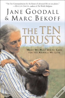 Capa do artigo Ten Trusts
