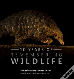 Ten Years Of Remembering Wildlife