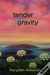 Capa do artigo Tender Gravity