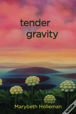 Capa do artigo Tender Gravity