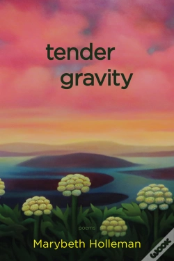 Capa do artigo Tender Gravity