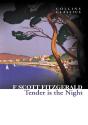 Tender Is The Night - Preview