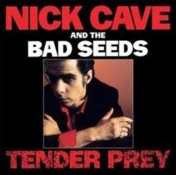 Capa do artigo Tender Prey - CD