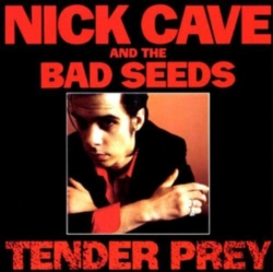 Capa do artigo Tender Prey - Vinil