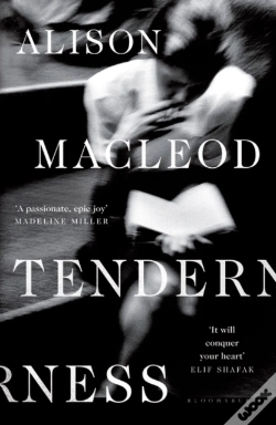 Capa do artigo Tenderness