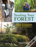 Tending Your Forest
