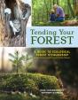 Tending Your Forest - Preview