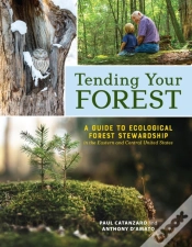 Capa do artigo Tending Your Forest