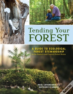 Capa do artigo Tending Your Forest