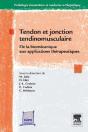 Tendon Jonction Tendinomusculaire - Preview