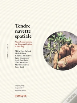 Capa do artigo Tendre Navette Spatiale