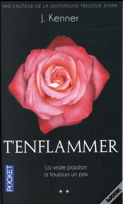 Capa do artigo T'Enflammer