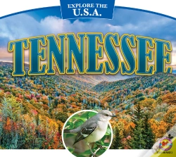 Capa do artigo Tennessee