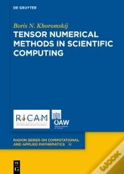 Capa do artigo Tensor Numerical Methods In Scientific Computing